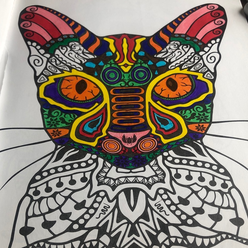 Meet your Posher, Emme